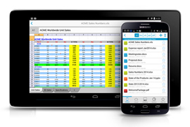 Documents To Go For Android Devices